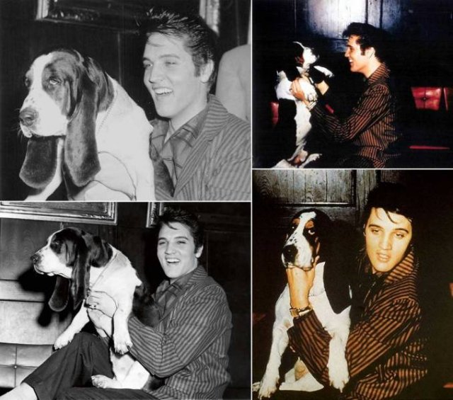 Rare Celebrity Photos (58 pics)