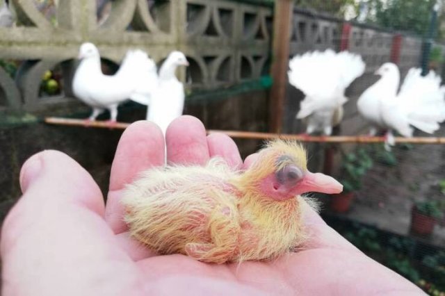 Amazing Finds (20 pics)