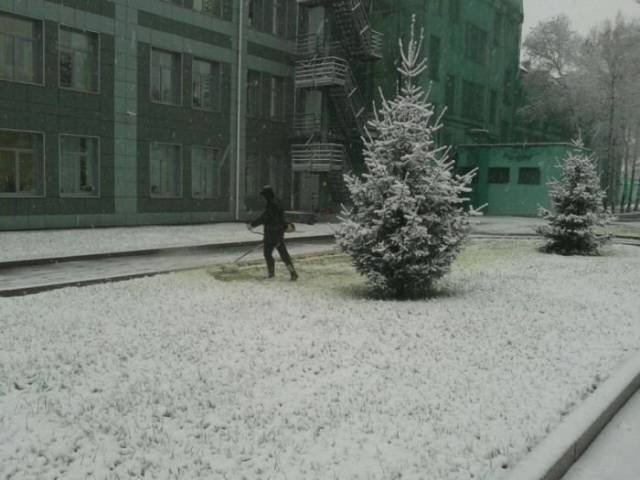 Strange Photos From Russia (40 pics)