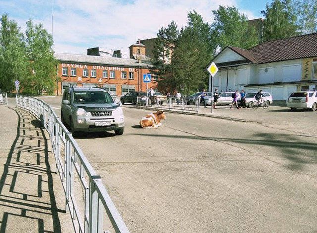 Strange Photos From Russia (40 pics)