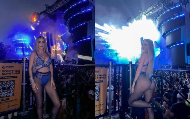 Girls At Music Festivals (45 pics)