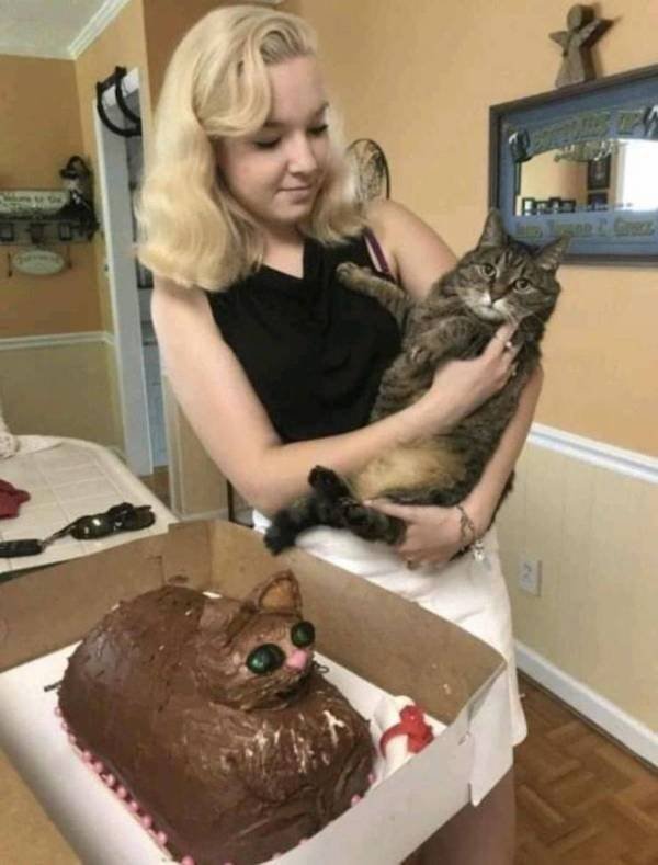 Funny Animals (42 pics)