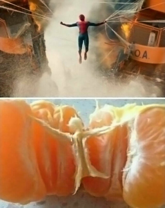 Odd Photos And Finds (23 pics)