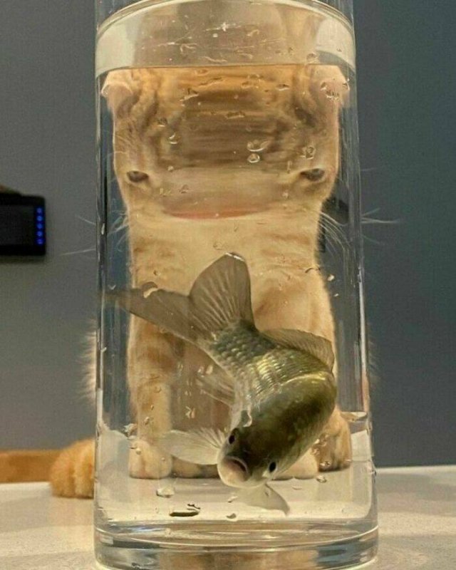 Odd Photos And Finds (23 pics)