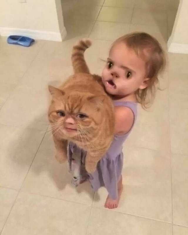 Odd Photos And Finds (23 pics)