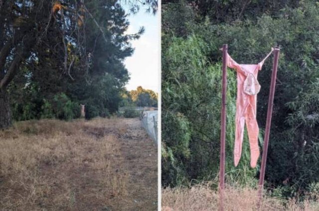 Unexpected Finds (15 pics)