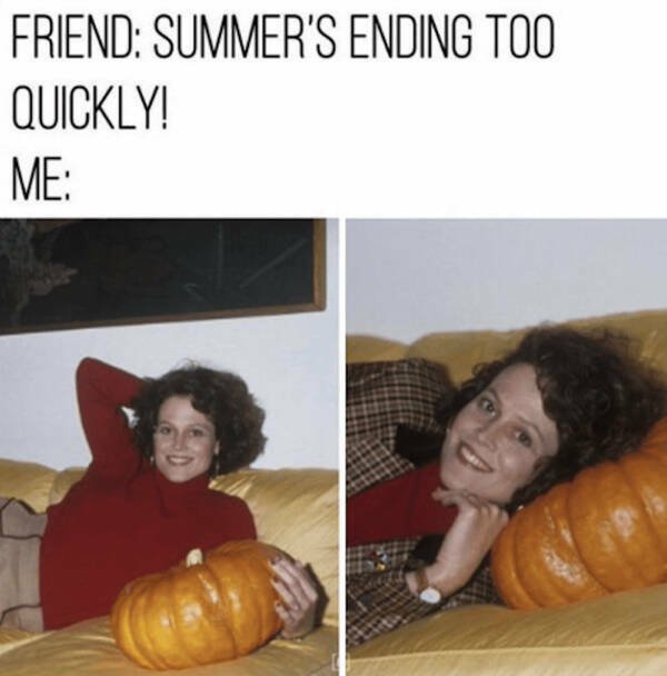 Seasonal Memes (16 pics)