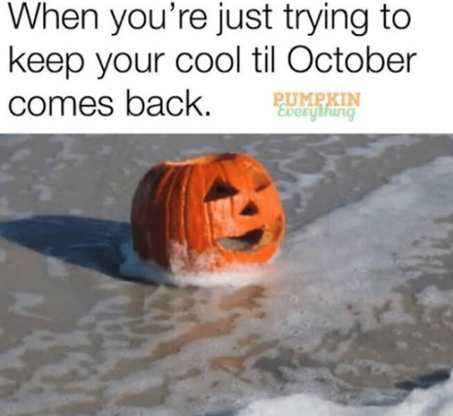Seasonal Memes (16 pics)
