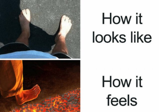 Seasonal Memes (16 pics)