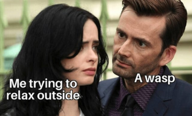 Seasonal Memes (16 pics)