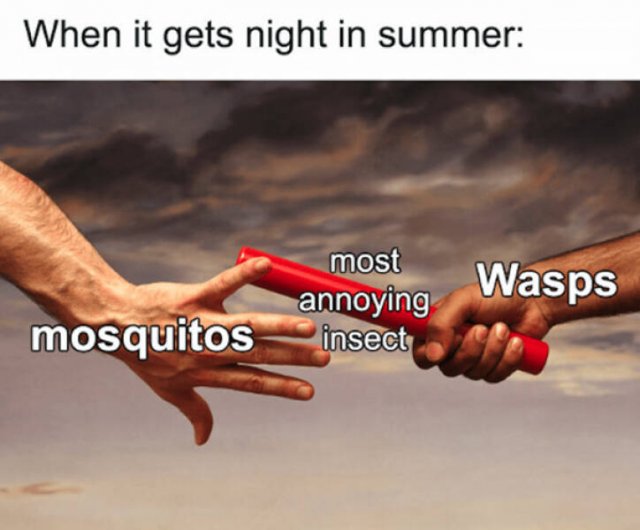 Seasonal Memes (16 pics)