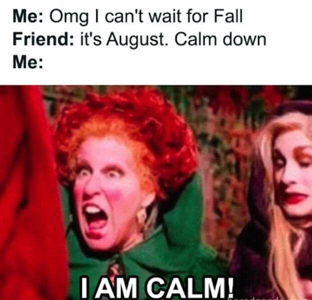 Seasonal Memes (16 pics)