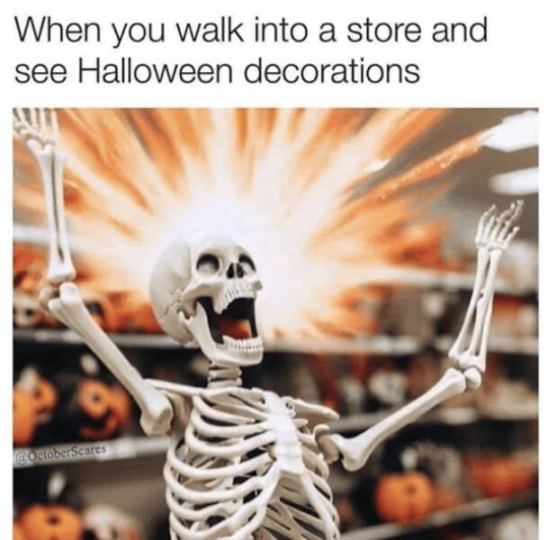 Seasonal Memes (16 pics)