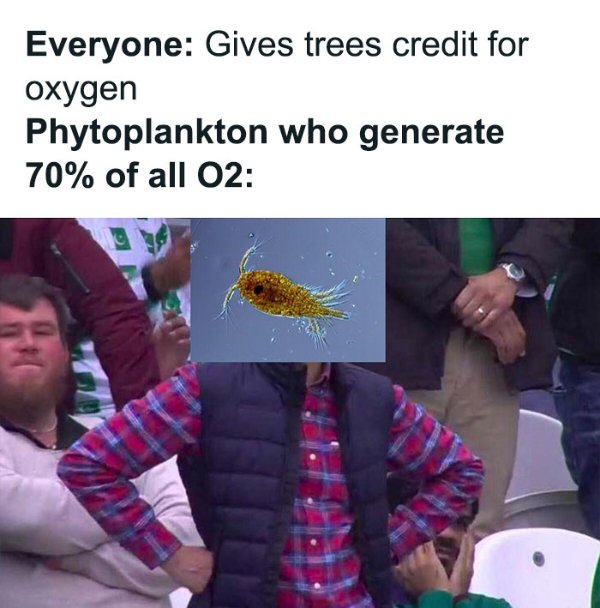 Science Memes (27 pics)