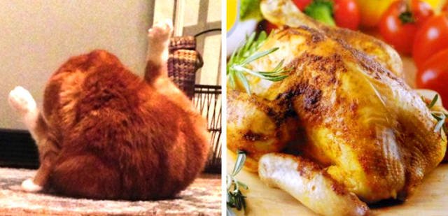 Funny Coincidences (15 pics) Funny Coincidences (15 pics)