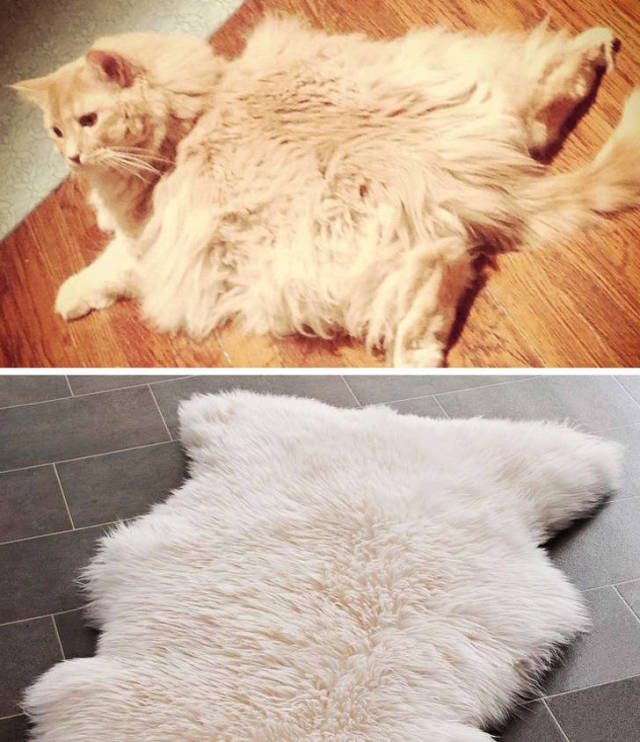 Funny Coincidences (15 pics) Funny Coincidences (15 pics)