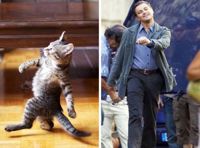 Funny Coincidences (15 pics) Funny Coincidences (15 pics)