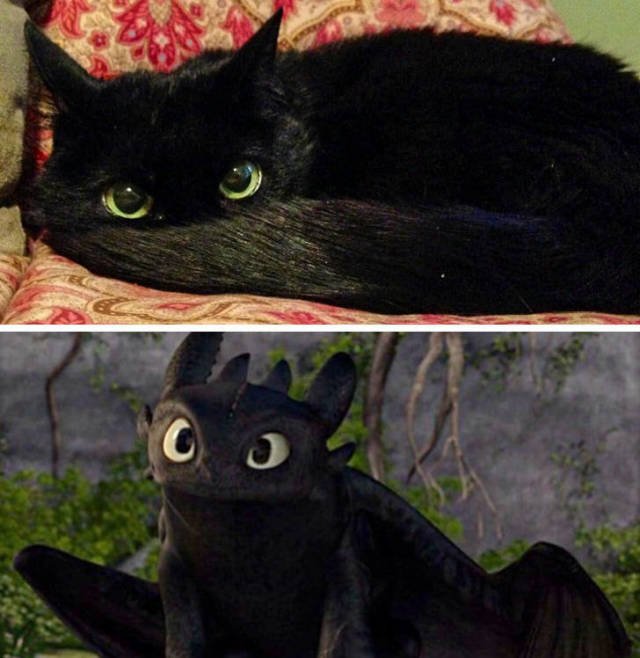 Funny Coincidences (15 pics) Funny Coincidences (15 pics)
