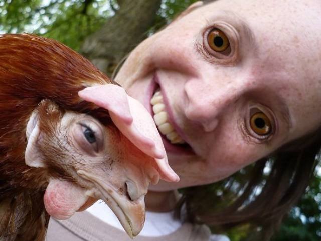 What Is Going On Here? (39 pics)