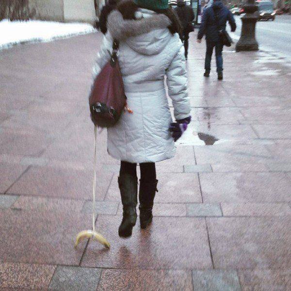 Weird Finds And Situations (47 pics)