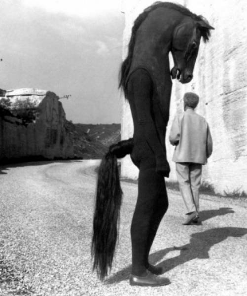 What Is Going On Here? (39 pics)