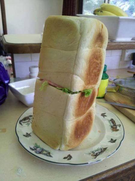 What Is Going On Here? (39 pics)