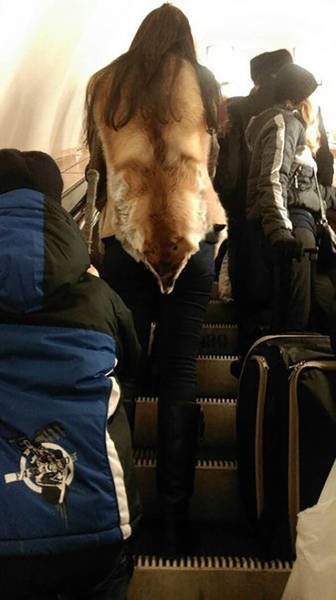 Odd People In The Subway (51 pics)