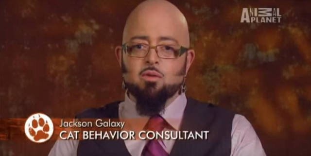 People With Perfect Jobs (18 pics)