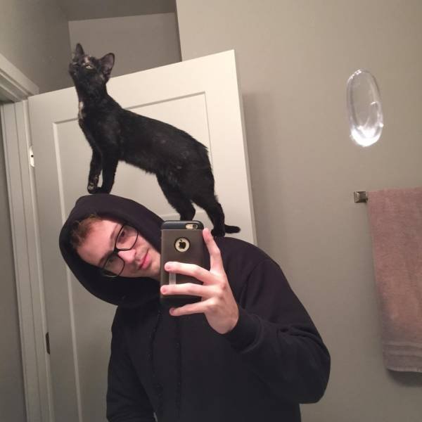 People Share Their Favorite Pets (28 pics) People Share Their Favorite Pets (28 pics)