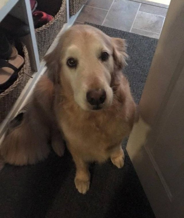 People Share Their Favorite Pets (28 pics) People Share Their Favorite Pets (28 pics)