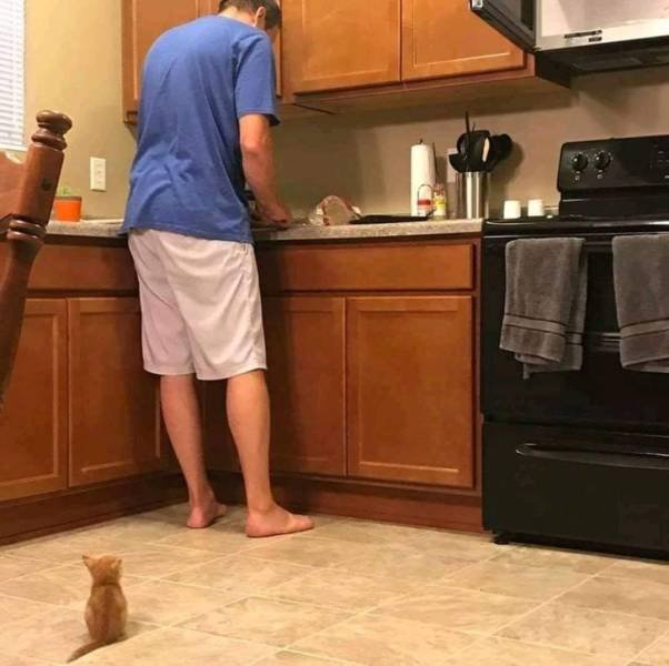 People Share Their Favorite Pets (28 pics) People Share Their Favorite Pets (28 pics)