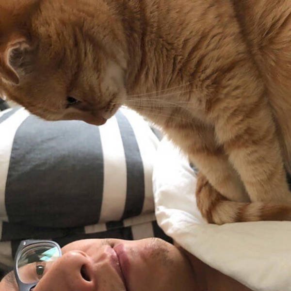 People Share Their Favorite Pets (28 pics) People Share Their Favorite Pets (28 pics)
