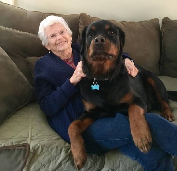 People Share Their Favorite Pets (28 pics) People Share Their Favorite Pets (28 pics)