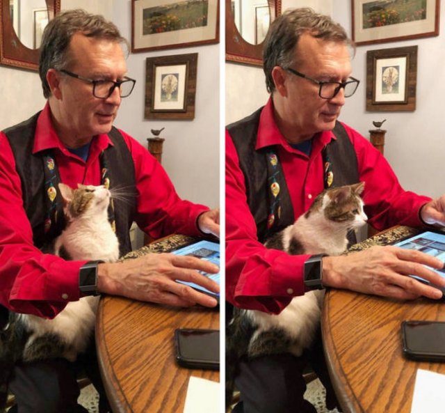 People Share Their Favorite Pets (28 pics) People Share Their Favorite Pets (28 pics)