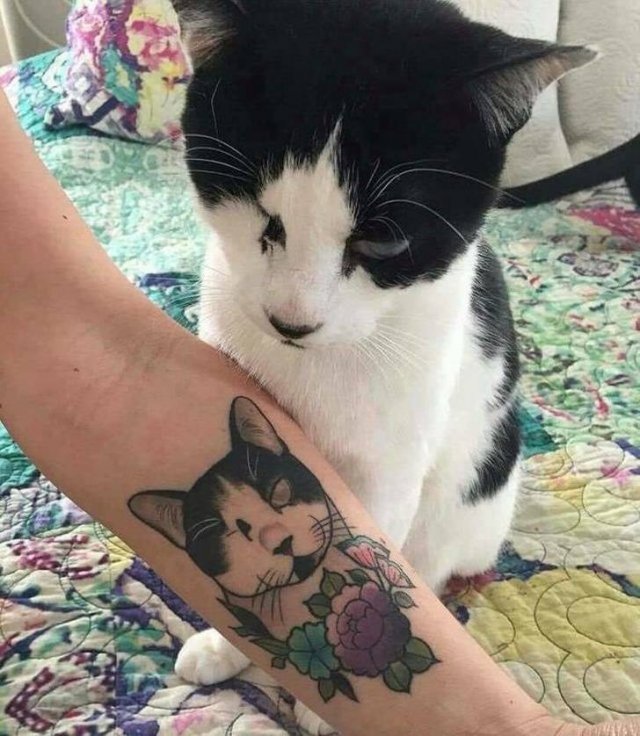 People Share Their Favorite Pets (28 pics) People Share Their Favorite Pets (28 pics)