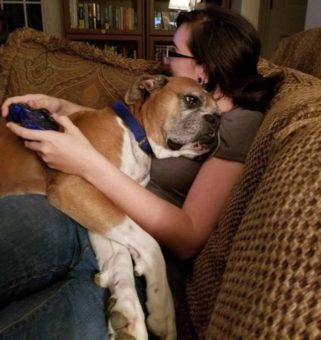 People Share Their Favorite Pets (28 pics) People Share Their Favorite Pets (28 pics)