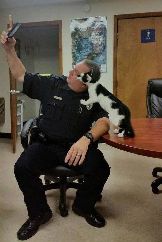 People Share Their Favorite Pets (28 pics) People Share Their Favorite Pets (28 pics)
