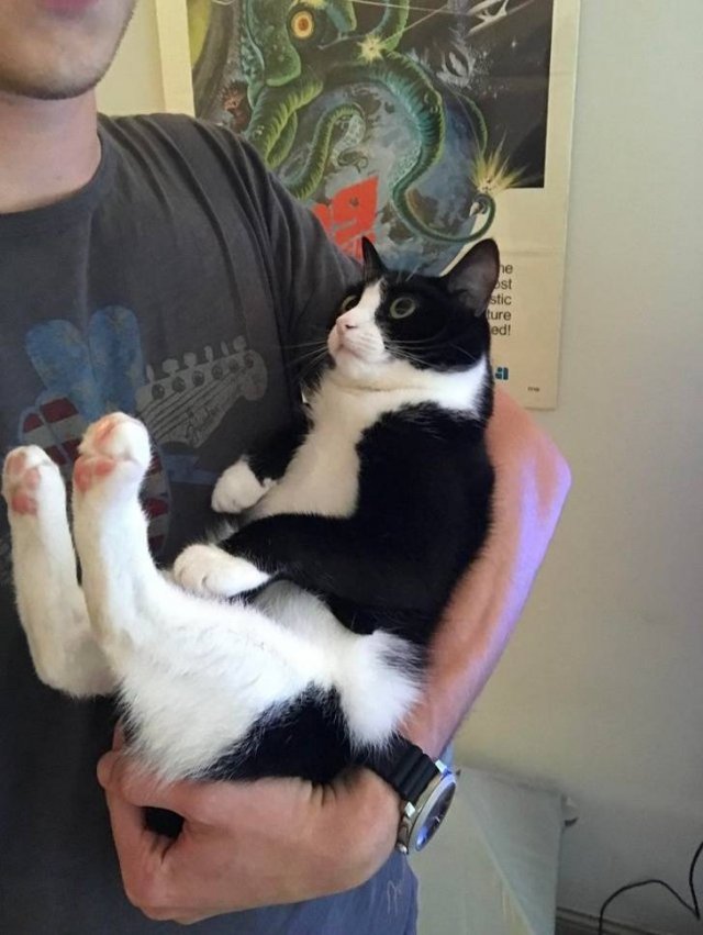 People Share Their Favorite Pets (28 pics) People Share Their Favorite Pets (28 pics)