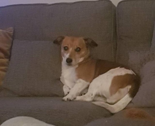 People Share Their Favorite Pets (28 pics) People Share Their Favorite Pets (28 pics)