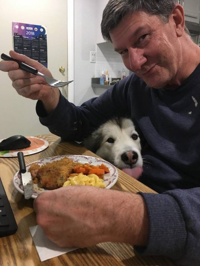 People Share Their Favorite Pets (28 pics) People Share Their Favorite Pets (28 pics)