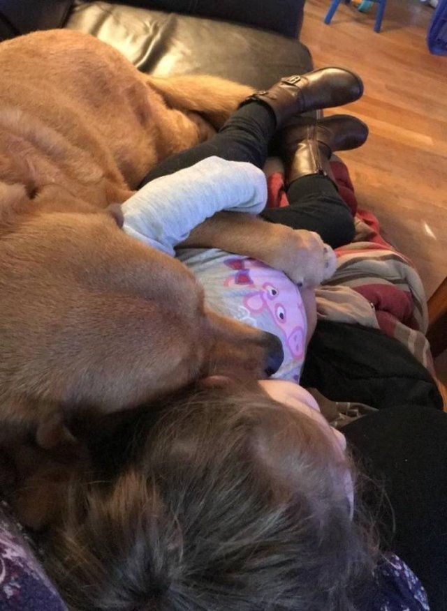 People Share Their Favorite Pets (28 pics) People Share Their Favorite Pets (28 pics)
