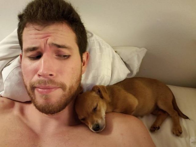 People Share Their Favorite Pets (28 pics) People Share Their Favorite Pets (28 pics)