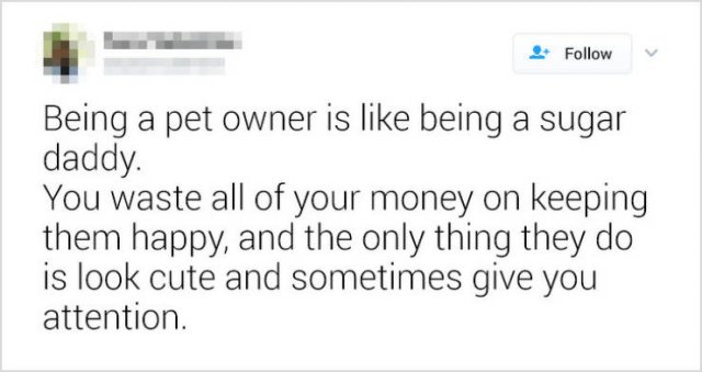 People Share Their Favorite Pets (28 pics)