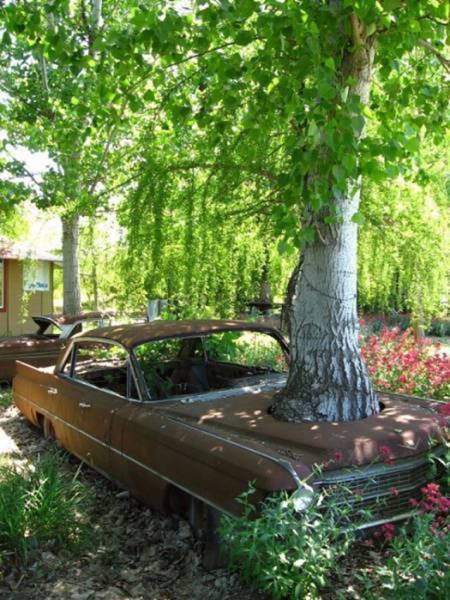 Strange Finds And Situations (42 pics)