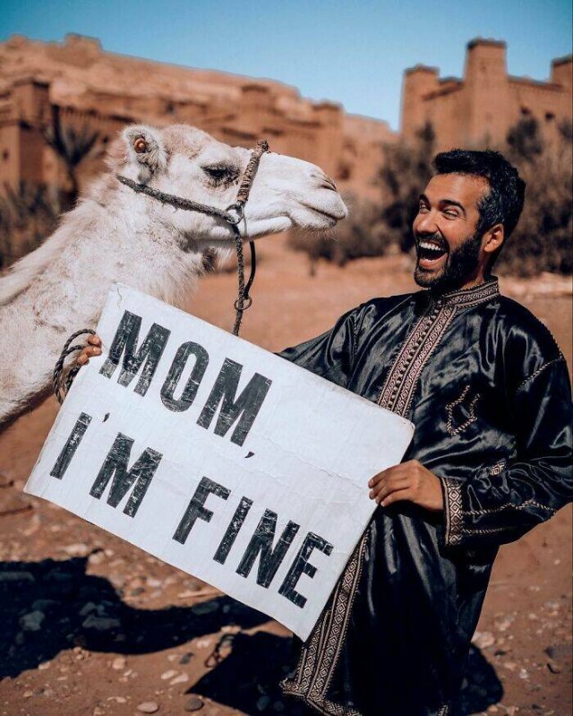 Messages For Mom From A Funny Traveler (23 pics)