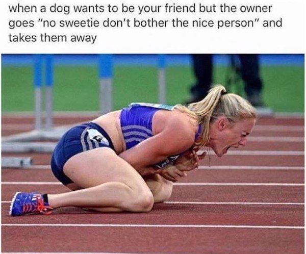 Truthful Memes For Dog Owners (27 pics)