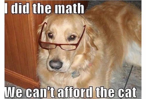 Truthful Memes For Dog Owners (27 pics)