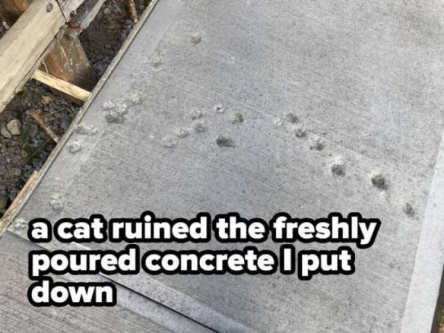 Life Fails (26 pics)