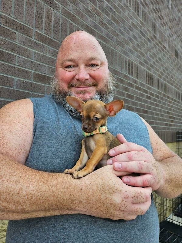 Adopted Pets (25 pics)