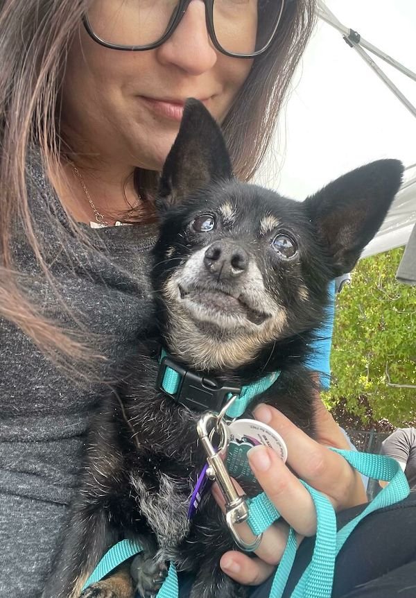Adopted Pets (25 pics)